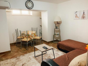 Podgorica city center apartment